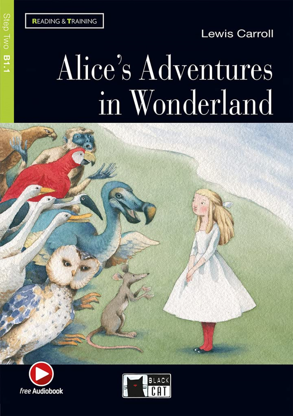 Alice's adventures in wonderland