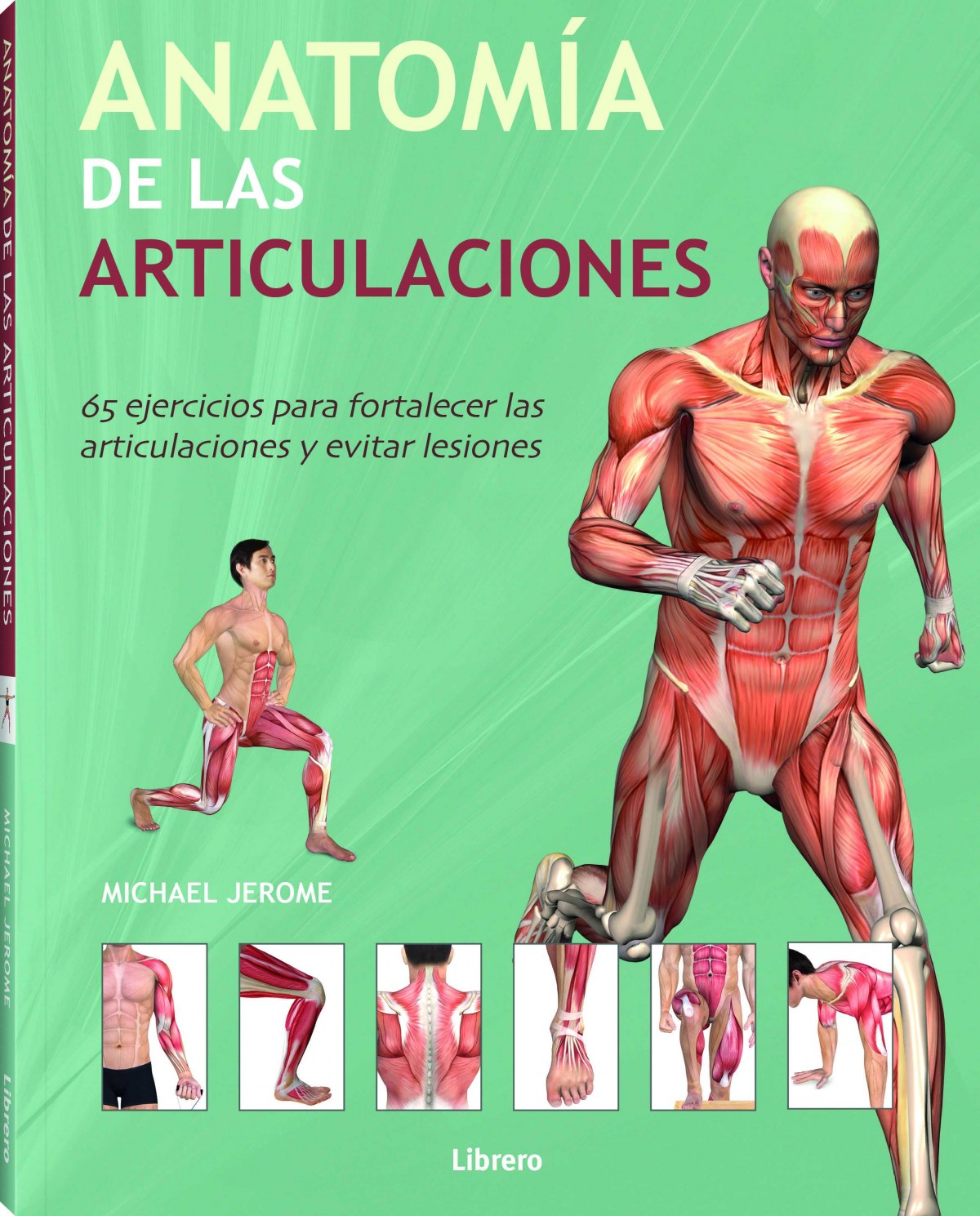 ANATOMÍA DE LAS ARTICULACIONES