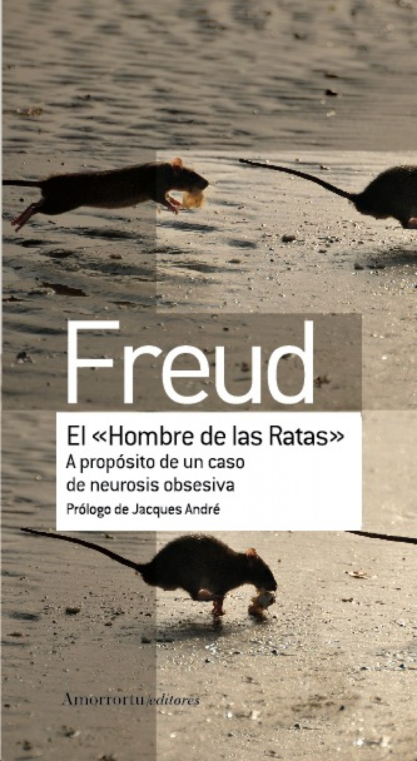 EL 'HOMBRE DE LAS RATAS'