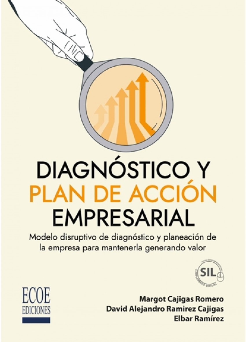 Diagnóstico y plan de acción empresarial