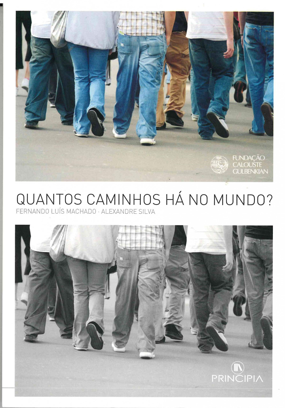 Quantos Caminhos ha no Mundo?