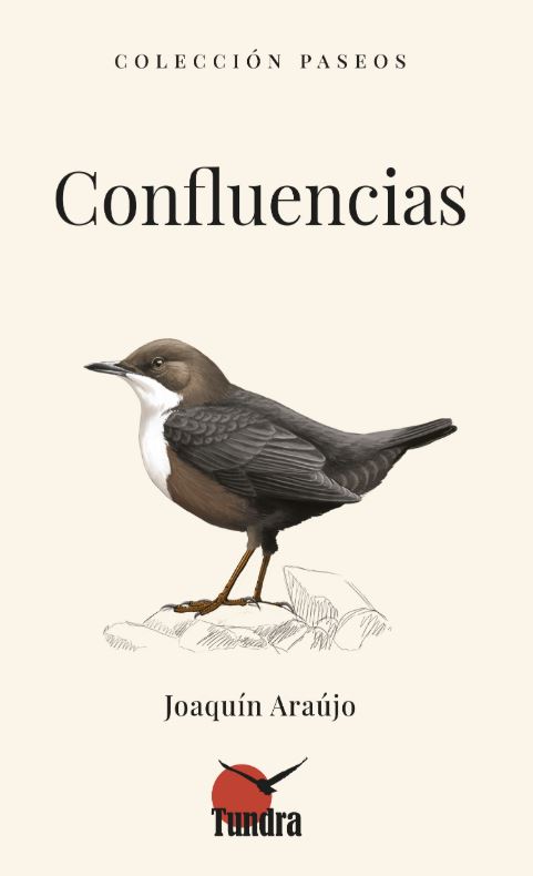  CONFLUENCIAS 