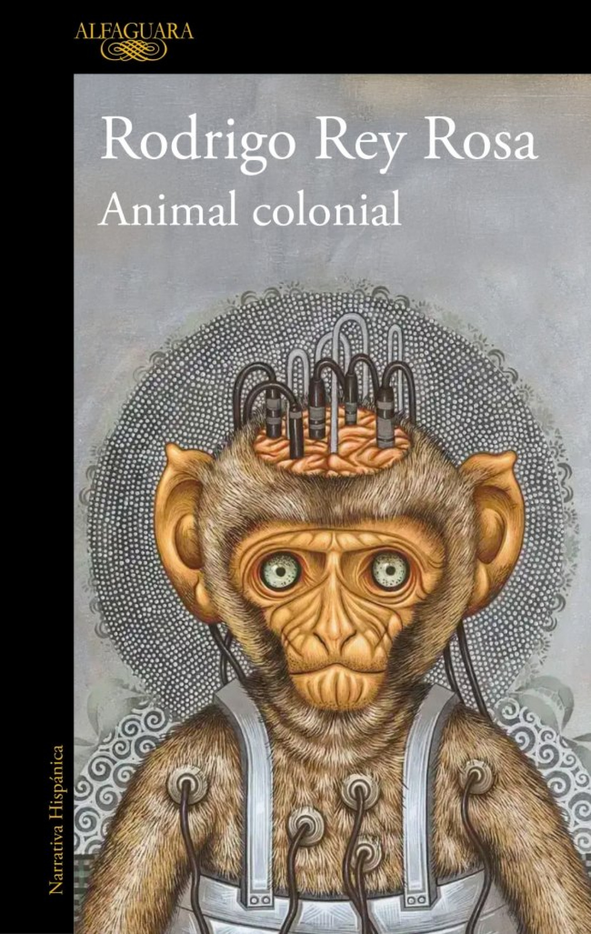  Animal colonial 