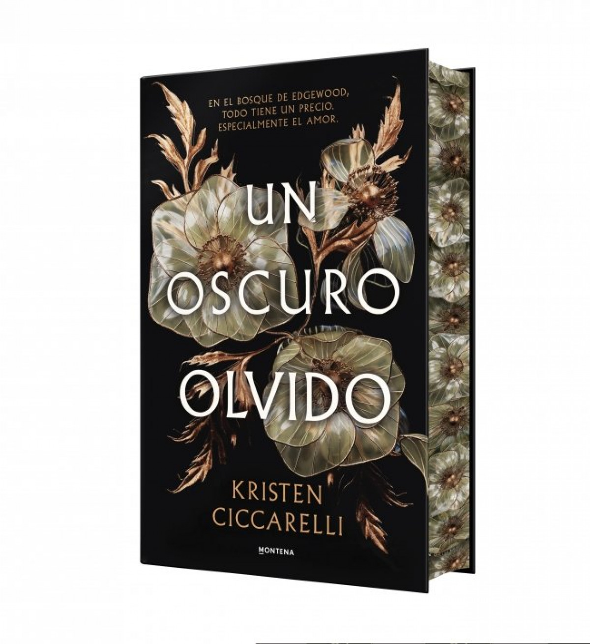  Un oscuro olvido 