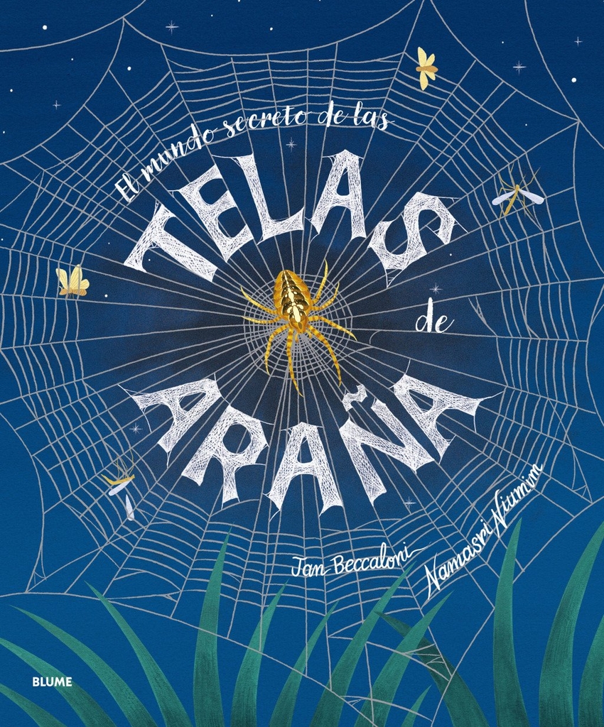 El mundo secreto de las telas de araña 