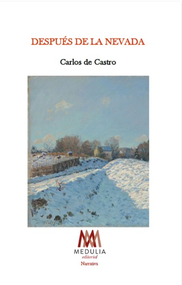  Después de la nevada 