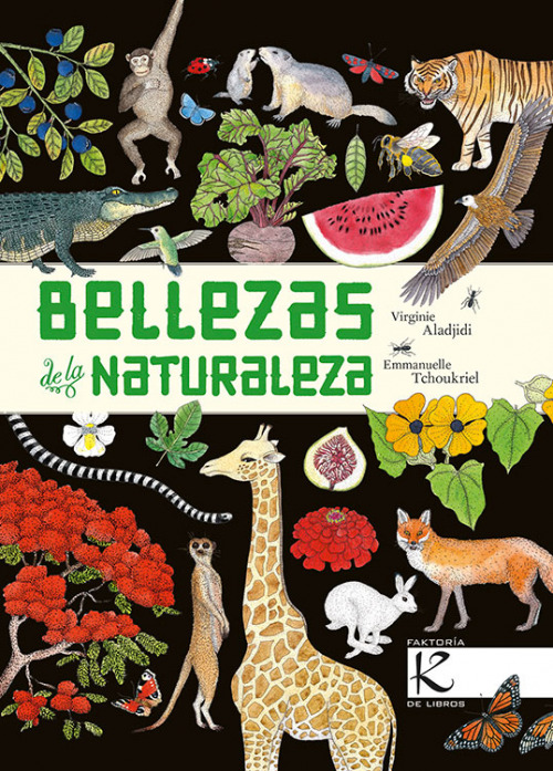 Portada