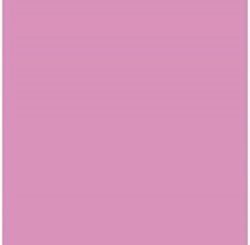 Paq/25 cartulinas iris 50x65 cm. color rosa chicle 185 g.