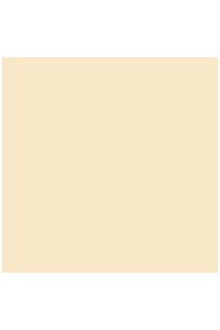PACK/25 PAPIER CARTON IRIS 50X65 185G. COULEUR CARNE