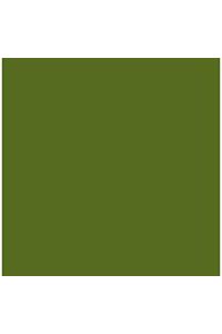PAQ/25 CARTOLINES IRIS 50X65 185G. VERD SAFARI
