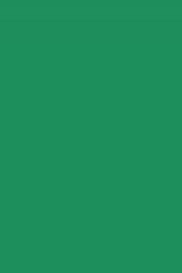 PACK/50 PAPIER CARTON IRIS A4 185G. VERT ABETO