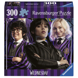 Puzzle Miercoles 300Pzs