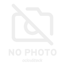 Figura Mini Camiseta Isco Real Betis