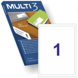 C/100 FEUILLES ETIQUETAS FT/IM 199.6X289.1 MULTI3