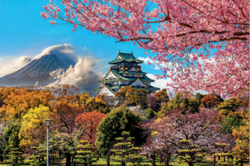 JAPON CASTILLO DE OSAKA PUZLE 2000 PECES