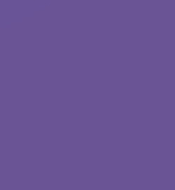 BLISTER 10 LAMINAS BORRACHA EVA COR VIOLETA 20X30CM FAIBO