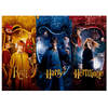 Puzzle Ron, Harry y Hermione Harry Potter 1000pcs
