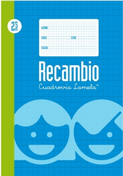 RECAMBIO Fº 100H 70G CUADROVIA 2.5MM 4 ANILLAS