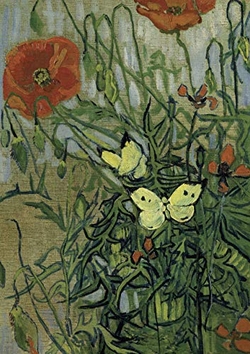 Capa