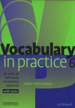 6.VOCABULARY IN PRACTICE (WITH TESTS)