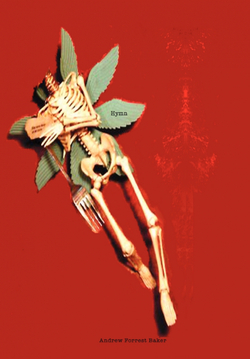 Capa