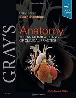 Anatomy 42nd Edition