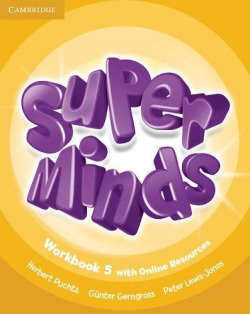 Super minds 5 Workbook