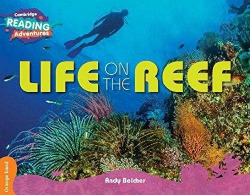 Life On The Reef