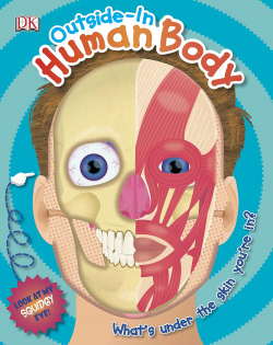 Outside in human body