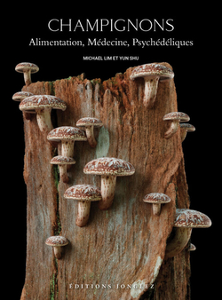 Champignons alimentation, médecine, psychédéliques