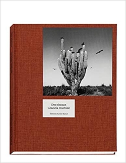 DES OISEAUX - GRACIELA ITURBIDE (ENGLISH VERS