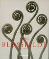 Karl Blossfeldt