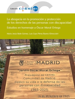Abogacia promocion y proteccion derechos personas discapacidad