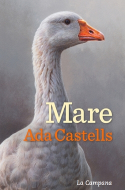 MARE