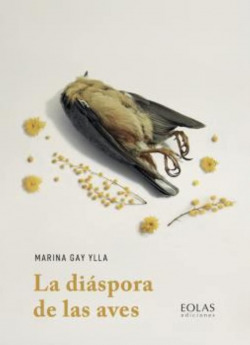 Capa