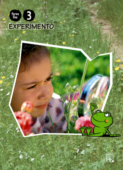(G).(10).EXPERIMENTO 3 ANOS (RANCIÑA RAIÑA) FERVELLOS