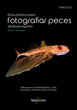 GUÍA PRÁCTICA PARA FOTOGRAFIAR PECES DEL LITORAL ESPAÑOL