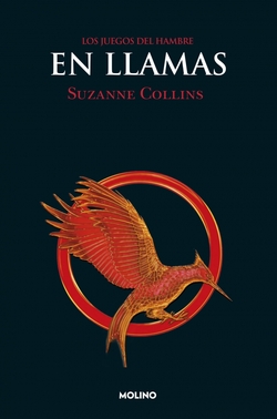 En llamas (eBook)