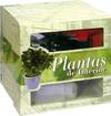 Plantas de interior (El arte de vivir)