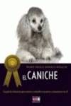 Caniche, el