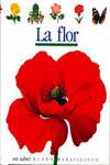 Mum. 8 la flor