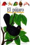 El pájaro