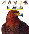 Mum.25 el aguila