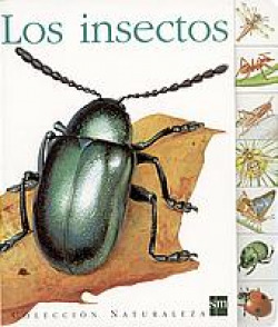 Cna.los insectos