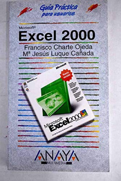 Excel 2000