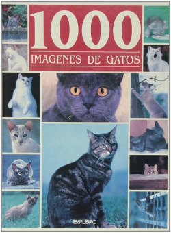 1000 imagenes de gatos
