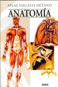 Anatomía