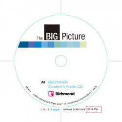 Big picture begginner A1 workbook