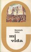 MI VIDA