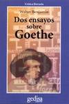 Dos ensayos sobre goethe
